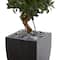 Nearly Natural; 4.5ft. Sweet Bay Double Topiary Tree in Black Planter; Category:Trees & Floor Plants; Image:4